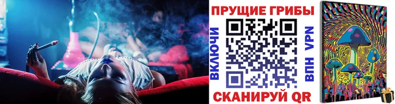hydra ТОР  Перевоз  Псилоцибиновые грибы Psilocybine cubensis 